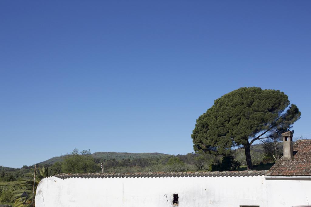 Perales del Puerto La Grulla Doradaゲストハウス エクステリア 写真